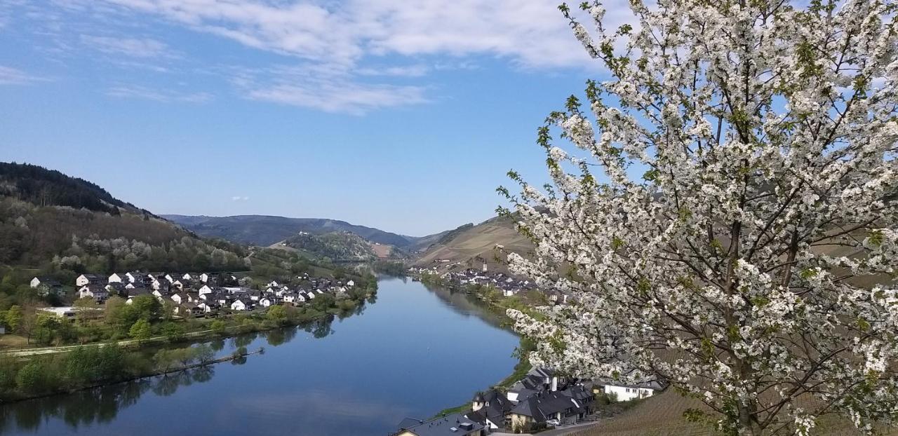 Mosel-Appartements Nehren Zell an der Mosel Exterior photo